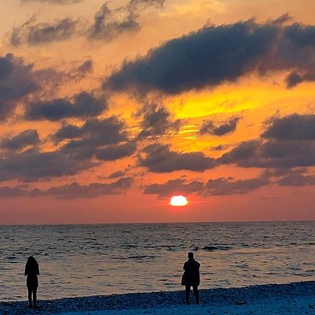 Monopat Otel Marina Di Pisa Dış mekan fotoğraf