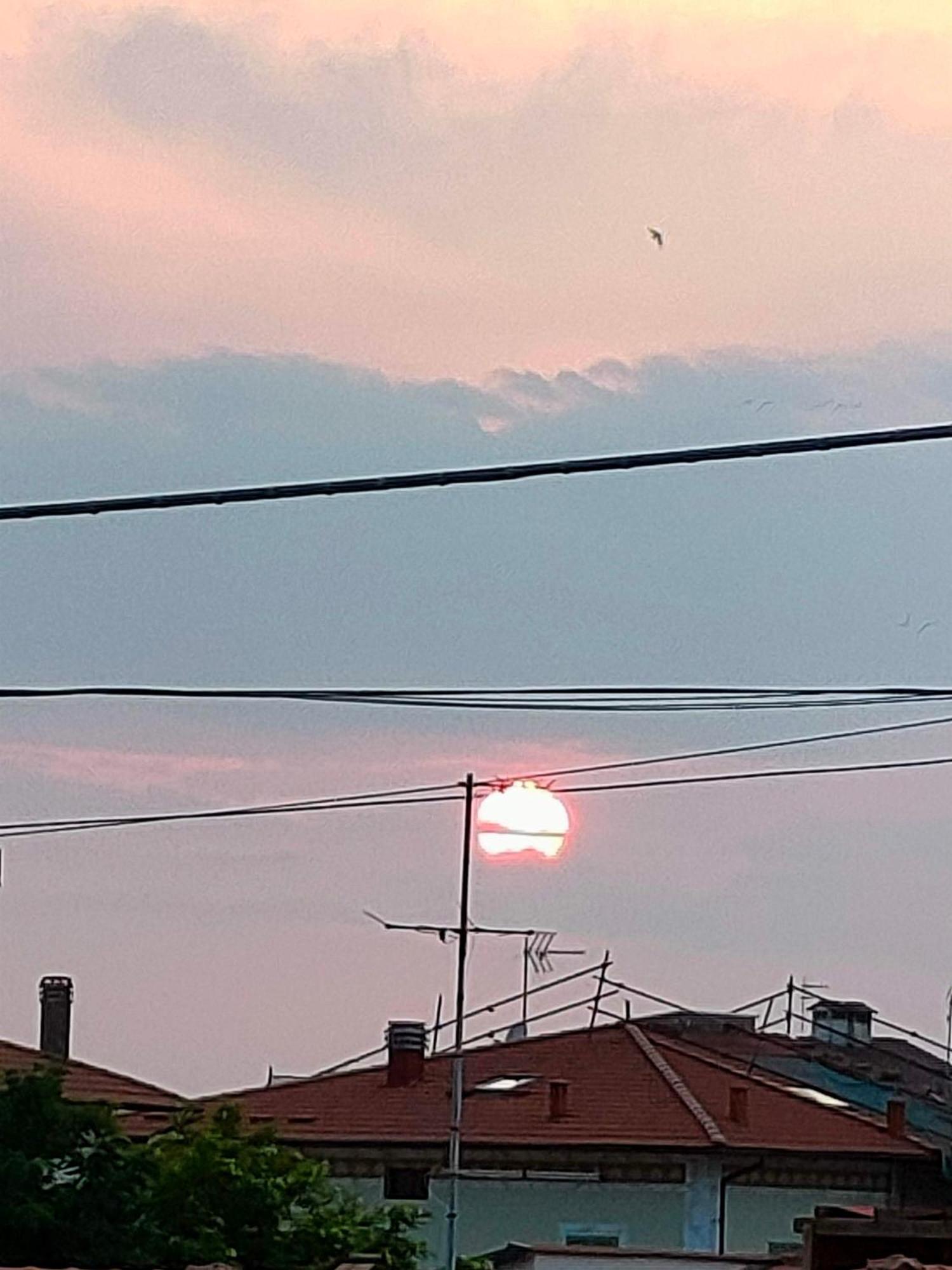 Monopat Otel Marina Di Pisa Dış mekan fotoğraf